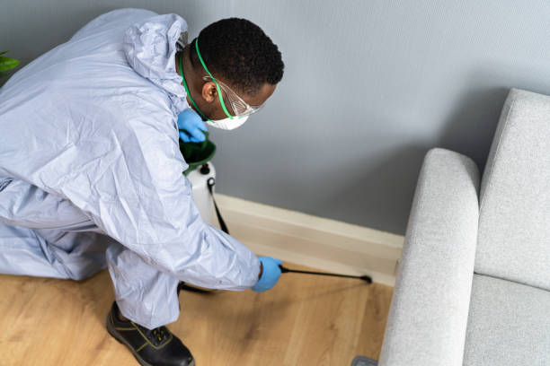 Real Estate Pest Inspections in Augusta, KS